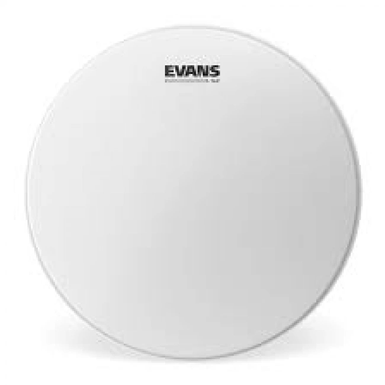 EVANS B15G12 | Parche G12 recubierto 15" NIVEL 360