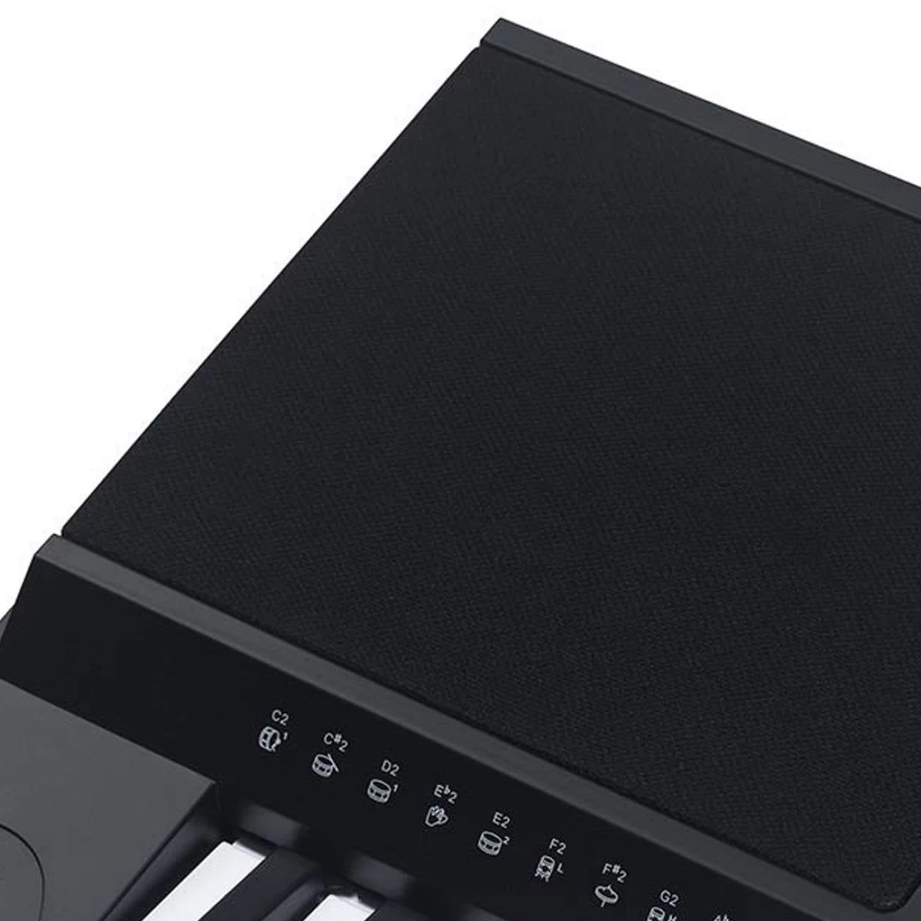 MEDELI MK-300 | Teclado de 5 octavas 61 teclas con pantalla retroiluminada y pitch-bend serie millenium