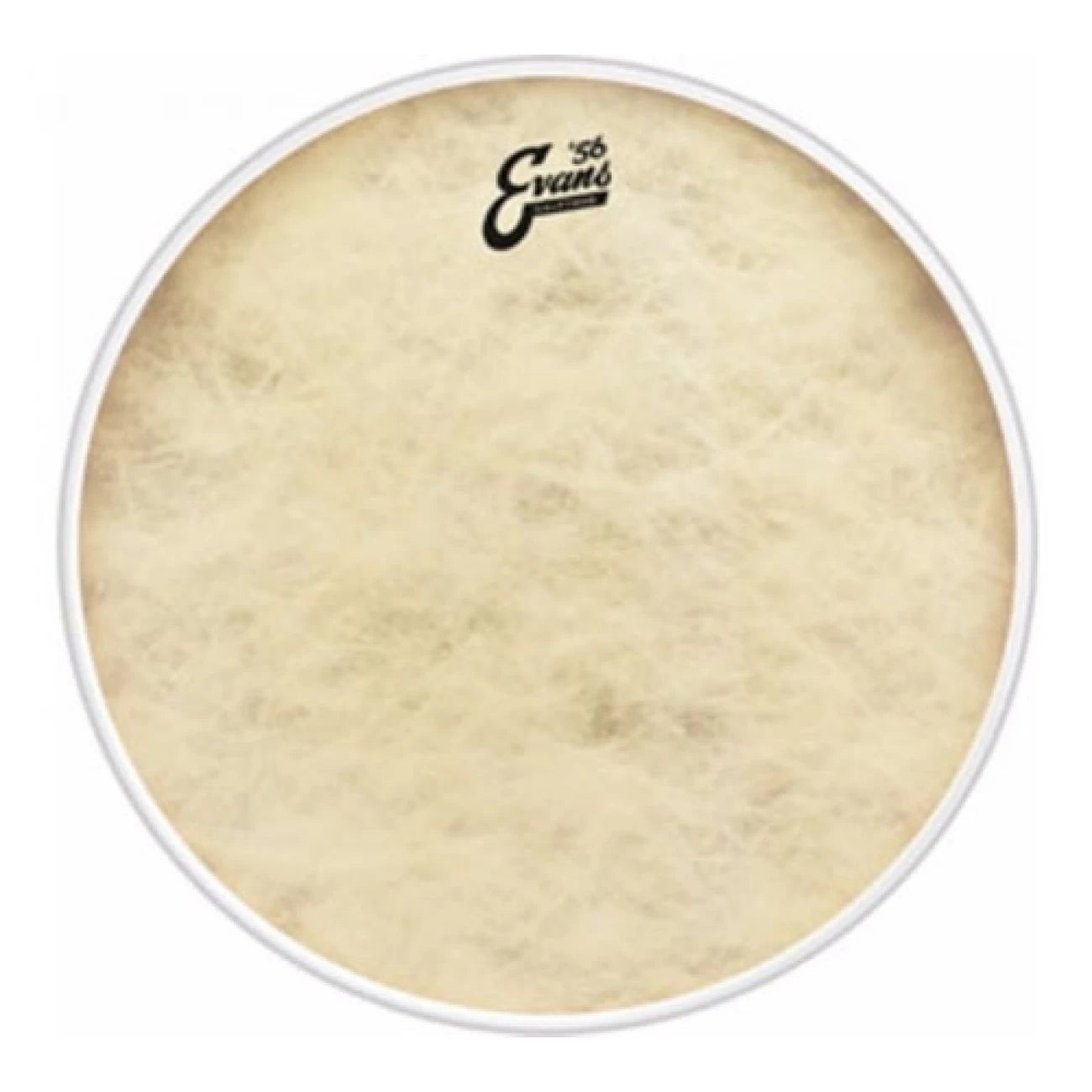 EVANS BD24CT | Parche de 24” para Bombo Calftone