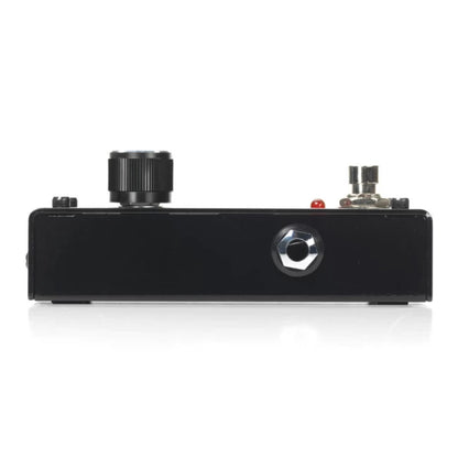 DIGITECH MOSAIC-V-01 | Pedal para guitarra de 12 cuerdas
