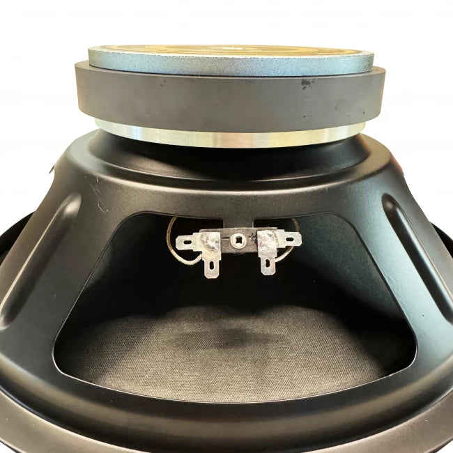 LEEA PA12 | Parlante de 12" con Campana de Chapa de 200 Watts
