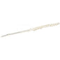 ROY BENSON RB700403 | Flauta Trasversal FL-402E