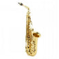 ROY BENSON RB700601 | Saxo Alto AS-202