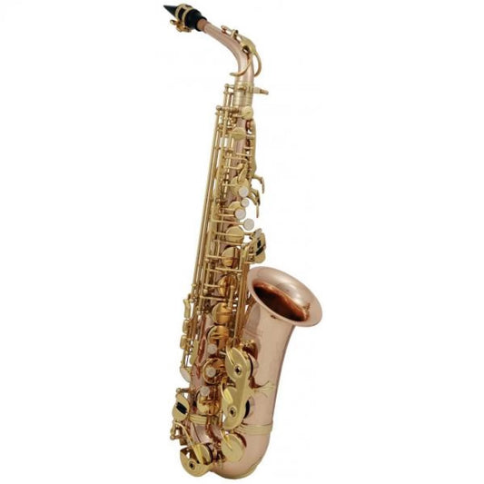 ROY BENSON RB700613 | SAXO ALTO AS-202G
