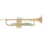 ROY BENSON RB701075 | TROMPETA TR-202G